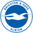 Brighton & Hove Albion logo