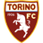 Torino logo